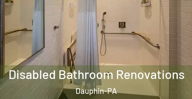 inner Bathroom imggen Disabled Bathroom Renovations Dauphin-PA