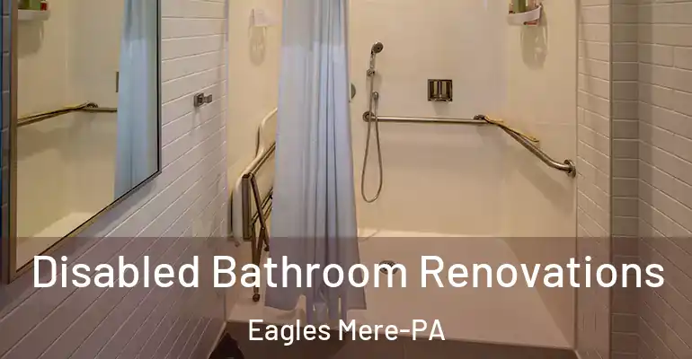 inner Bathroom imggen Disabled Bathroom Renovations Eagles Mere-PA
