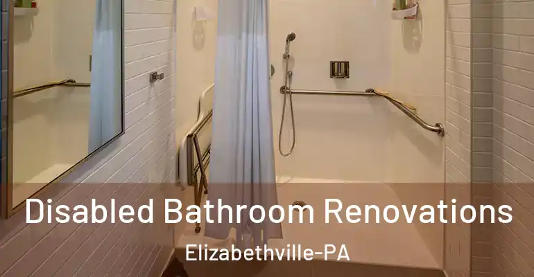 inner Bathroom imggen Disabled Bathroom Renovations Elizabethville-PA