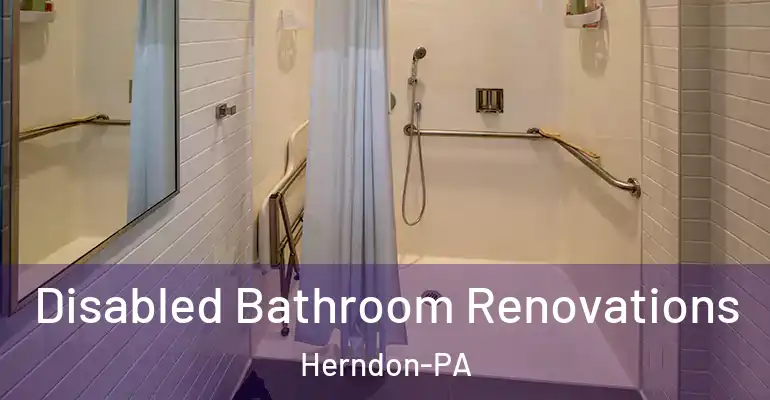 inner Bathroom imggen Disabled Bathroom Renovations Herndon-PA