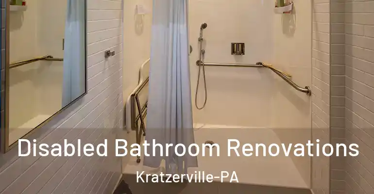 inner Bathroom imggen Disabled Bathroom Renovations Kratzerville-PA