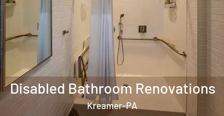 inner Bathroom imggen Disabled Bathroom Renovations Kreamer-PA