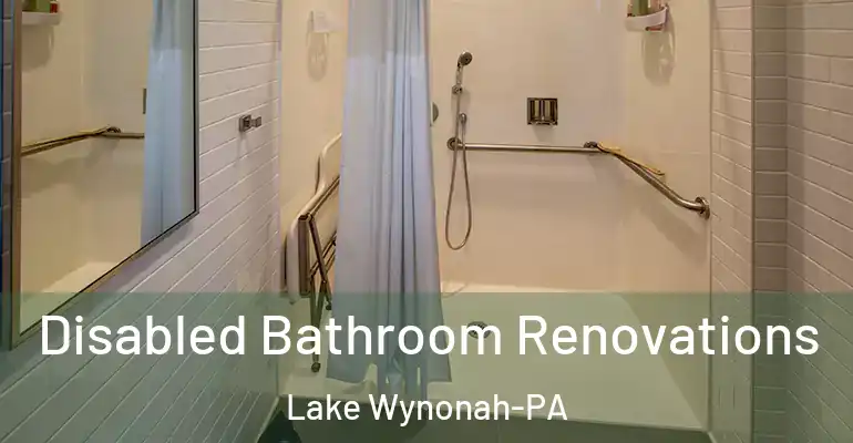 inner Bathroom imggen Disabled Bathroom Renovations Lake Wynonah-PA
