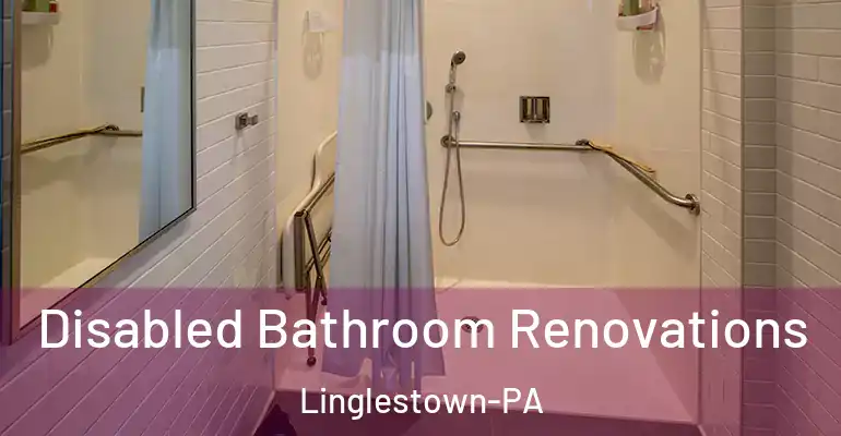 inner Bathroom imggen Disabled Bathroom Renovations Linglestown-PA