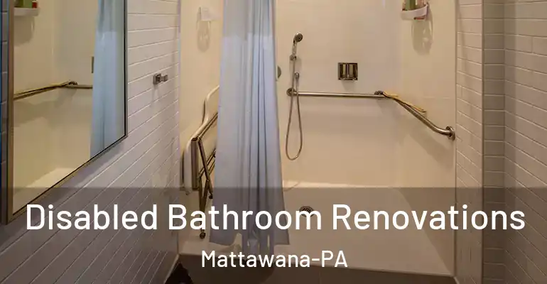 inner Bathroom imggen Disabled Bathroom Renovations Mattawana-PA