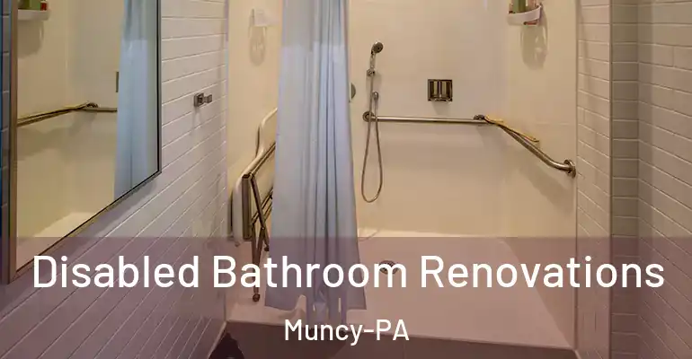 inner Bathroom imggen Disabled Bathroom Renovations Muncy-PA
