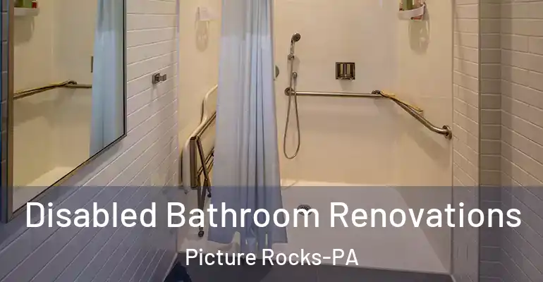 inner Bathroom imggen Disabled Bathroom Renovations Picture Rocks-PA