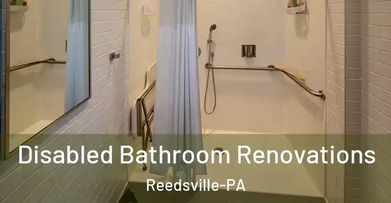 inner Bathroom imggen Disabled Bathroom Renovations Reedsville-PA