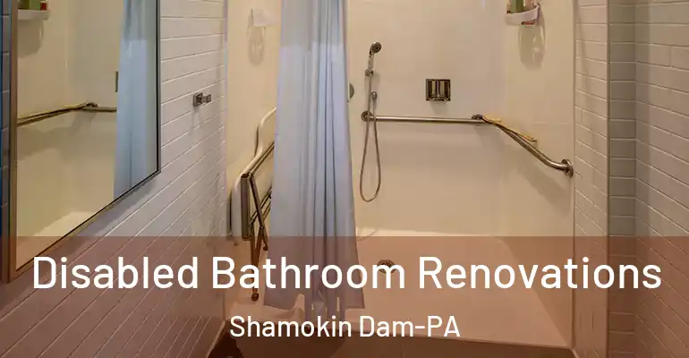 inner Bathroom imggen Disabled Bathroom Renovations Shamokin Dam-PA