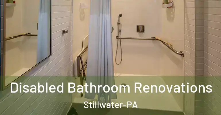 inner Bathroom imggen Disabled Bathroom Renovations Stillwater-PA