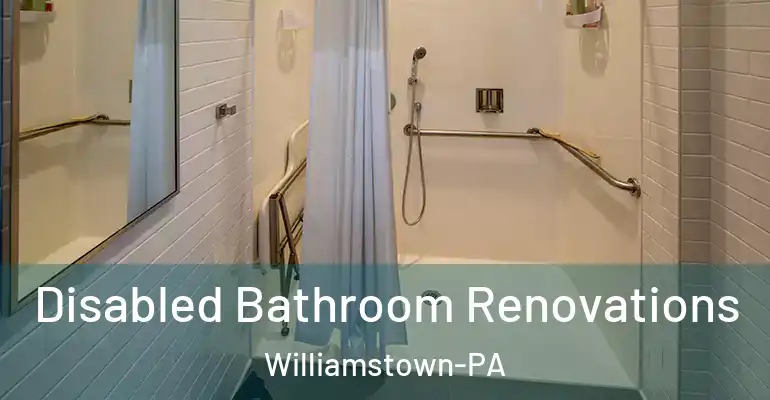 inner Bathroom imggen Disabled Bathroom Renovations Williamstown-PA
