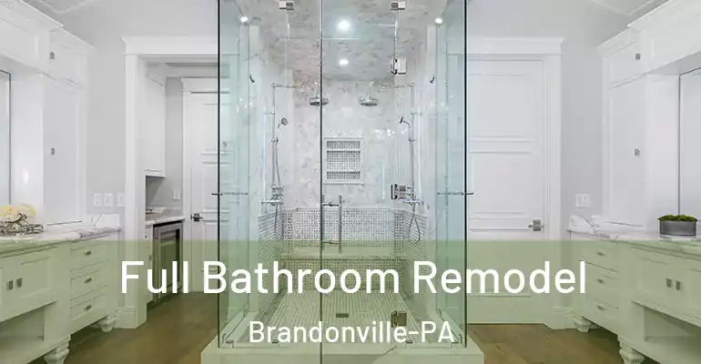 inner Bathroom imggen Full Bathroom Remodel Brandonville-PA