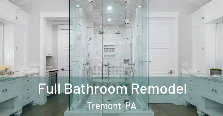 inner Bathroom imggen Full Bathroom Remodel Tremont-PA
