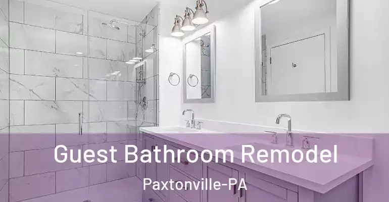 inner Bathroom imggen Guest Bathroom Remodel Paxtonville-PA