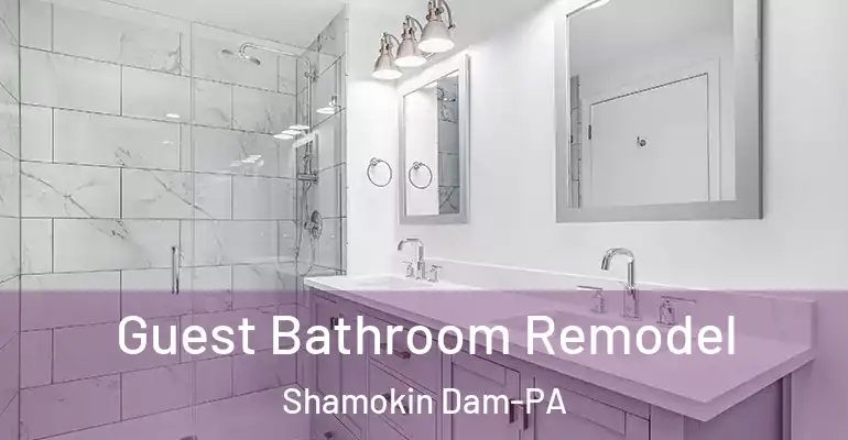 inner Bathroom imggen Guest Bathroom Remodel Shamokin Dam-PA