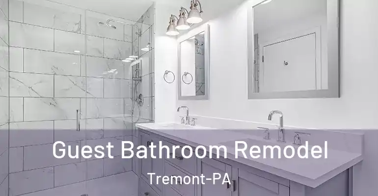 inner Bathroom imggen Guest Bathroom Remodel Tremont-PA