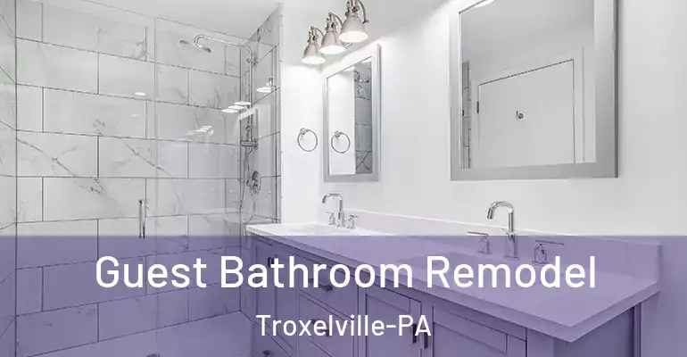 inner Bathroom imggen Guest Bathroom Remodel Troxelville-PA