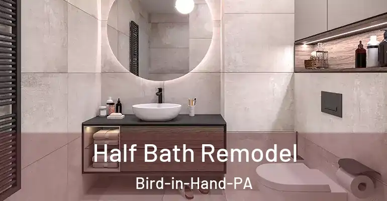 inner Bathroom imggen Half Bath Remodel Bird-in-Hand-PA