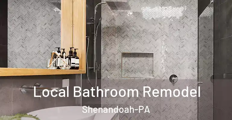 inner Bathroom imggen Local Bathroom Remodel Shenandoah-PA