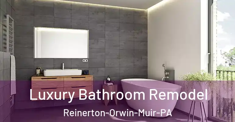 inner Bathroom imggen Luxury Bathroom Remodel Reinerton-Orwin-Muir-PA
