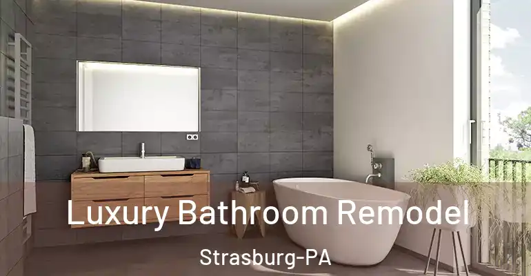 inner Bathroom imggen Luxury Bathroom Remodel Strasburg-PA