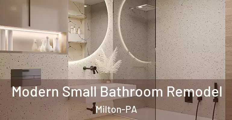 inner Bathroom imggen Modern Small Bathroom Remodel Milton-PA