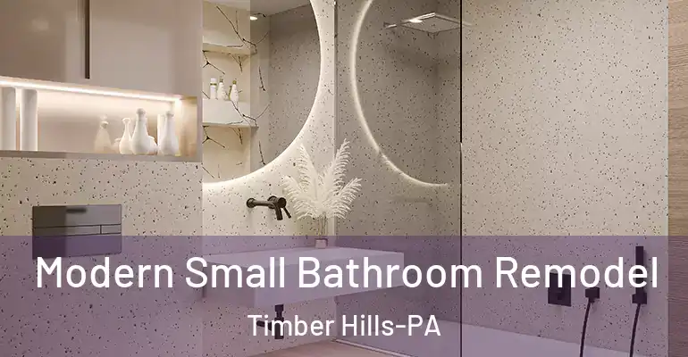 inner Bathroom imggen Modern Small Bathroom Remodel Timber Hills-PA
