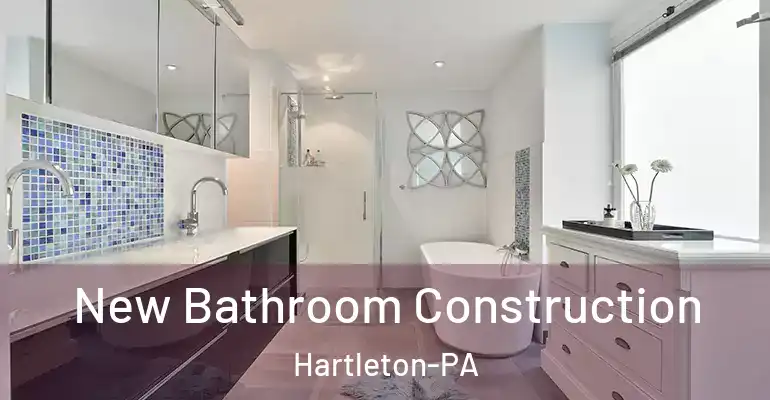 inner Bathroom imggen New Bathroom Construction Hartleton-PA