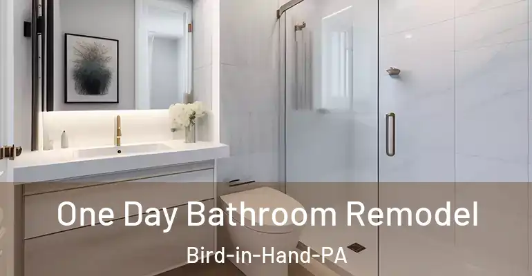 inner Bathroom imggen One Day Bathroom Remodel Bird-in-Hand-PA
