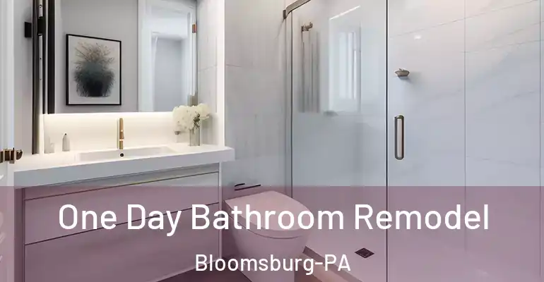 inner Bathroom imggen One Day Bathroom Remodel Bloomsburg-PA