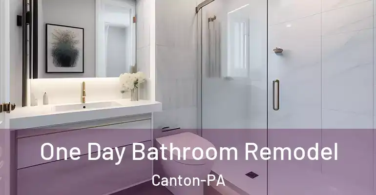 inner Bathroom imggen One Day Bathroom Remodel Canton-PA