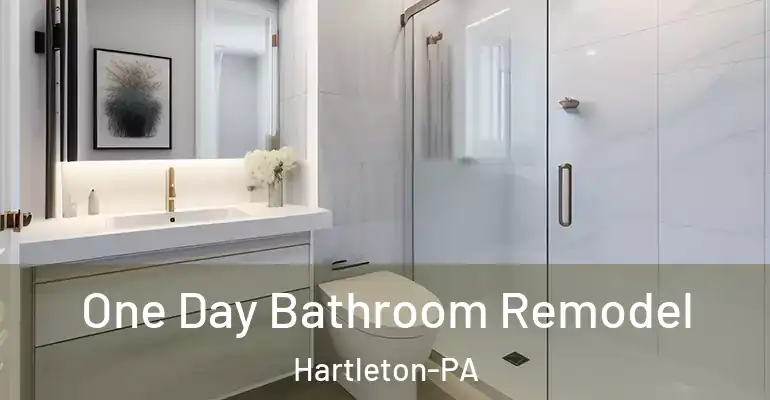 inner Bathroom imggen One Day Bathroom Remodel Hartleton-PA