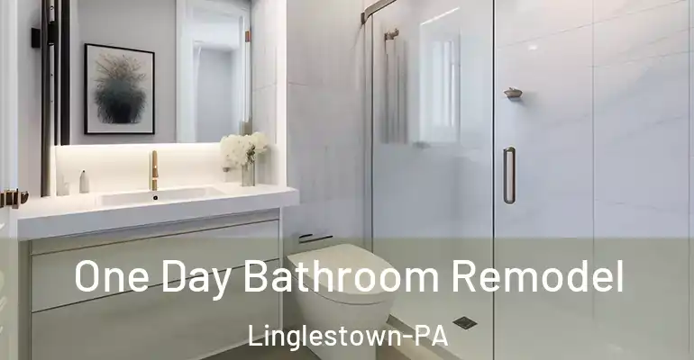 inner Bathroom imggen One Day Bathroom Remodel Linglestown-PA