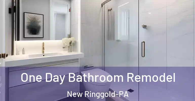 inner Bathroom imggen One Day Bathroom Remodel New Ringgold-PA