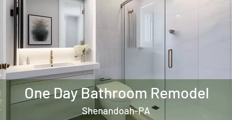 inner Bathroom imggen One Day Bathroom Remodel Shenandoah-PA