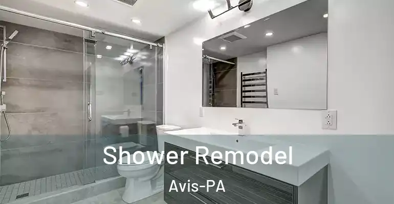 inner Bathroom imggen Shower Remodel Avis-PA
