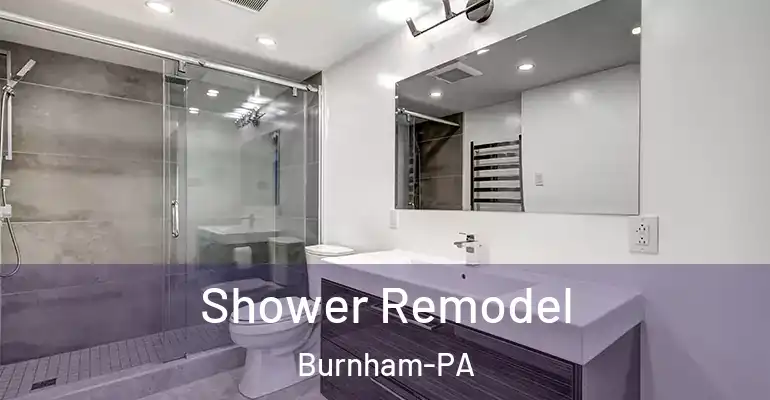 inner Bathroom imggen Shower Remodel Burnham-PA
