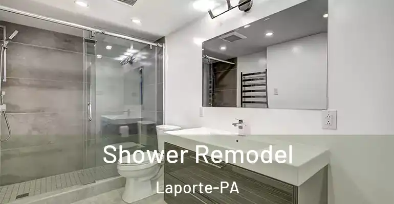inner Bathroom imggen Shower Remodel Laporte-PA