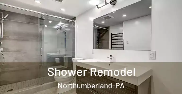 inner Bathroom imggen Shower Remodel Northumberland-PA