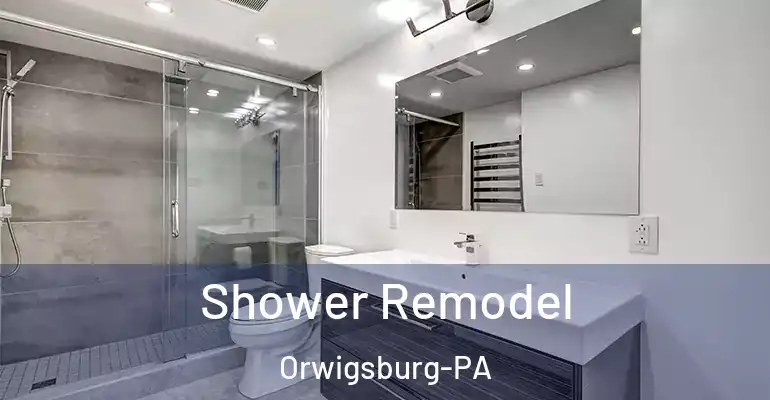 inner Bathroom imggen Shower Remodel Orwigsburg-PA