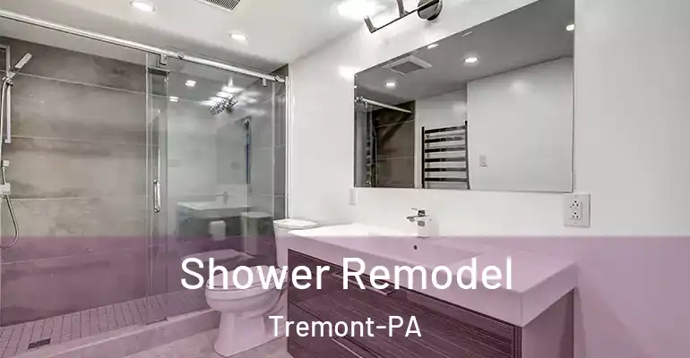 inner Bathroom imggen Shower Remodel Tremont-PA