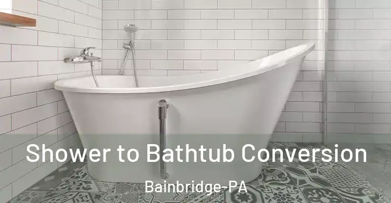 inner Bathroom imggen Shower to Bathtub Conversion Bainbridge-PA