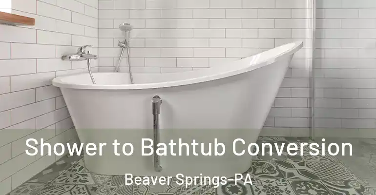 inner Bathroom imggen Shower to Bathtub Conversion Beaver Springs-PA