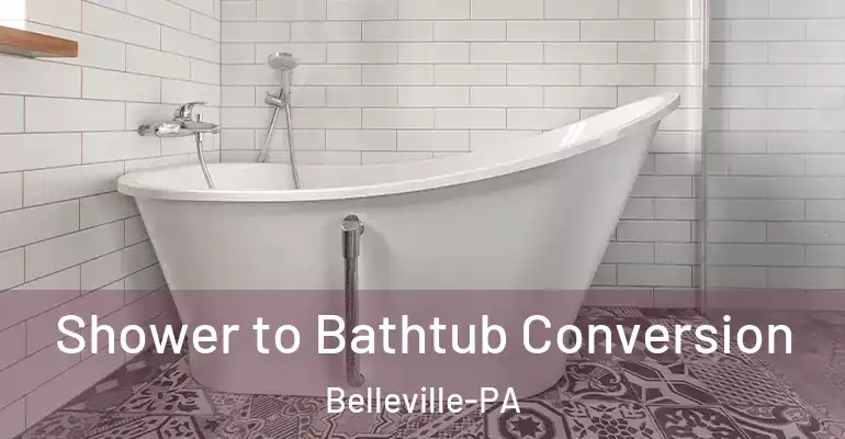 inner Bathroom imggen Shower to Bathtub Conversion Belleville-PA