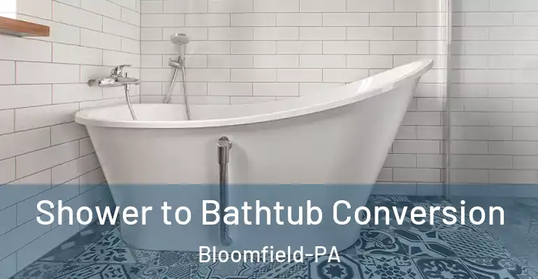 inner Bathroom imggen Shower to Bathtub Conversion Bloomfield-PA