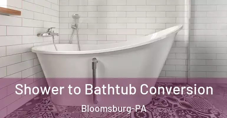 inner Bathroom imggen Shower to Bathtub Conversion Bloomsburg-PA