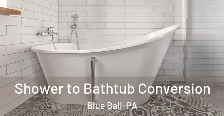 inner Bathroom imggen Shower to Bathtub Conversion Blue Ball-PA