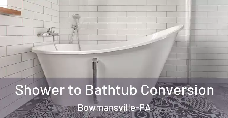 inner Bathroom imggen Shower to Bathtub Conversion Bowmansville-PA