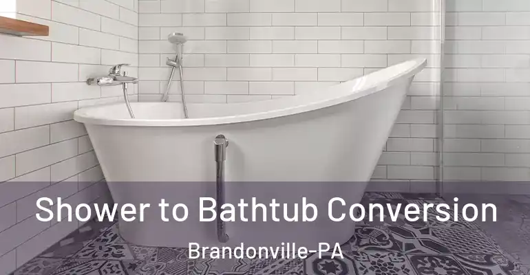 inner Bathroom imggen Shower to Bathtub Conversion Brandonville-PA