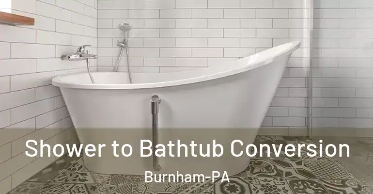 inner Bathroom imggen Shower to Bathtub Conversion Burnham-PA